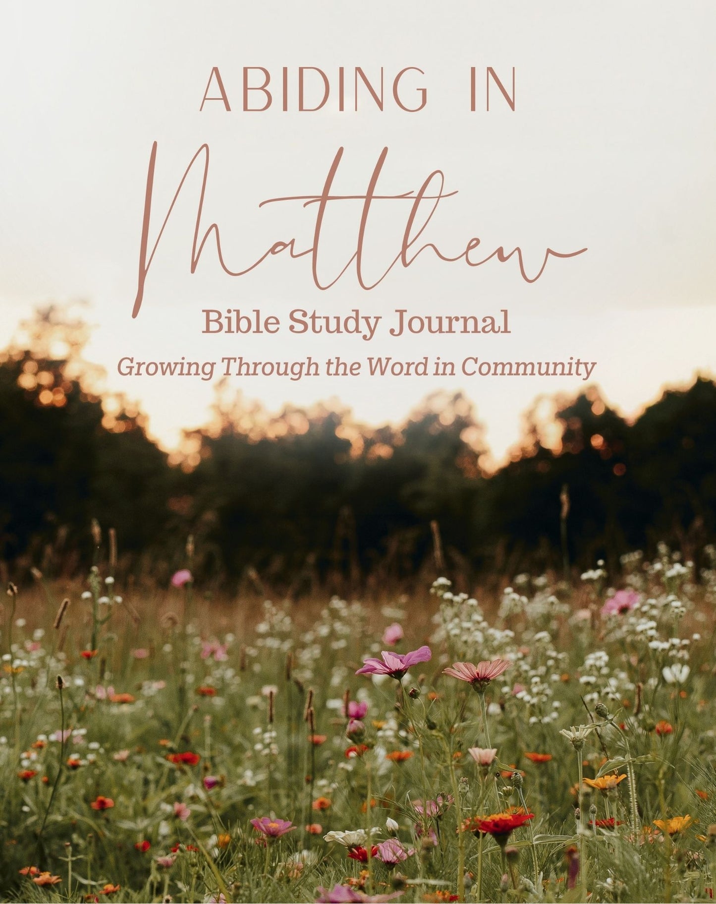 Abiding in Matthew-Local Pickup