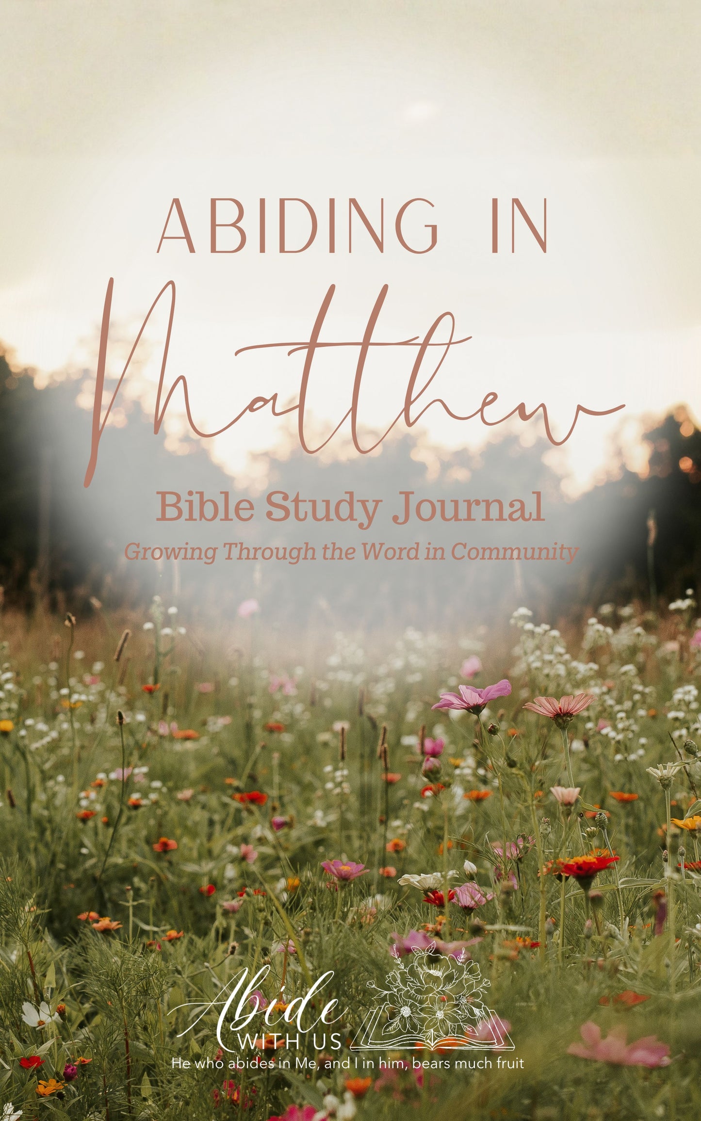 Abiding in Matthew Digital Download